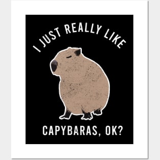 i just really like Capybaras Posters and Art